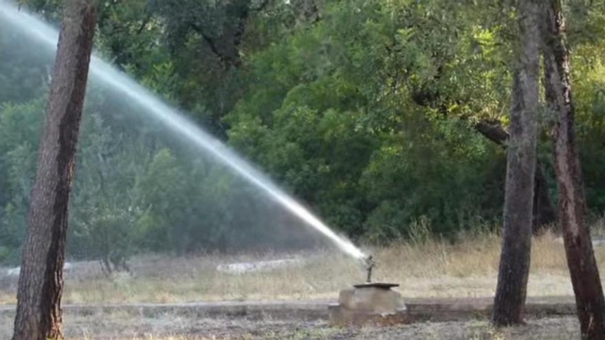 Alberic humedece la Muntanyeta con cañones de agua provisionales