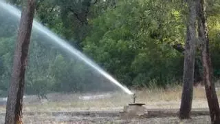 Alberic protege su pulmón verde con torres que lanzan 850 l/m en los días de más calor