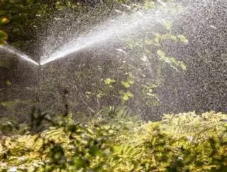 La Axarquía exige una solución a la alta salinidad de las aguas regeneradas