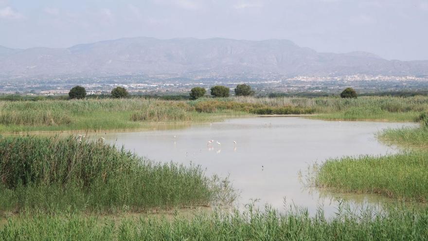 Día de los Humedales, ecosistemas imprescindibles