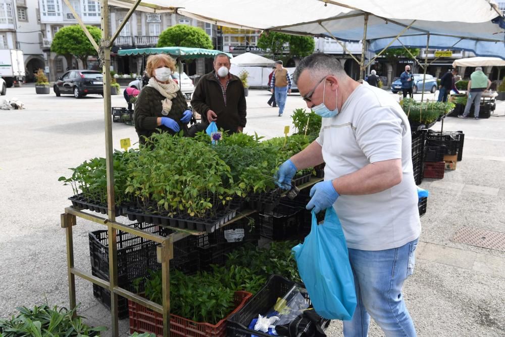 Una docena de vendedores de productos agroalimentarios de toda la comarca coruñesa acudieron a la plaza Irmáns García Naveira de Betanzos en el primer mercado semanal desde el inicio del confinamiento