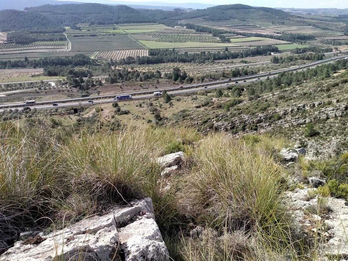 Paisaje sobre el que se asentaría la macroplanta solar de Moixent.
