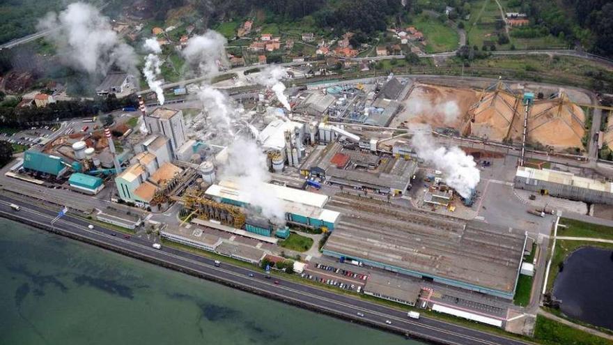 Instalaciones de Ence en Lourizán, una de las opciones para la planta de biomasa. // R. Vázquez