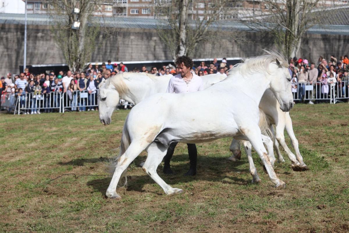 La XXXV Feira do Cabalo de Lalín cerró ayer su segunda y última jornada con una notable afluencia de público