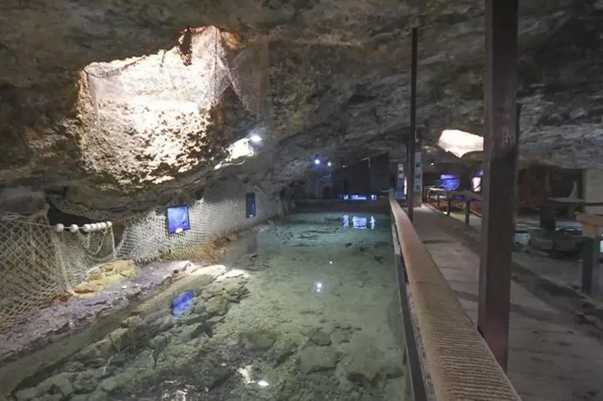 Acuario des Cap Blanc, en Sant Antoni. | DI
