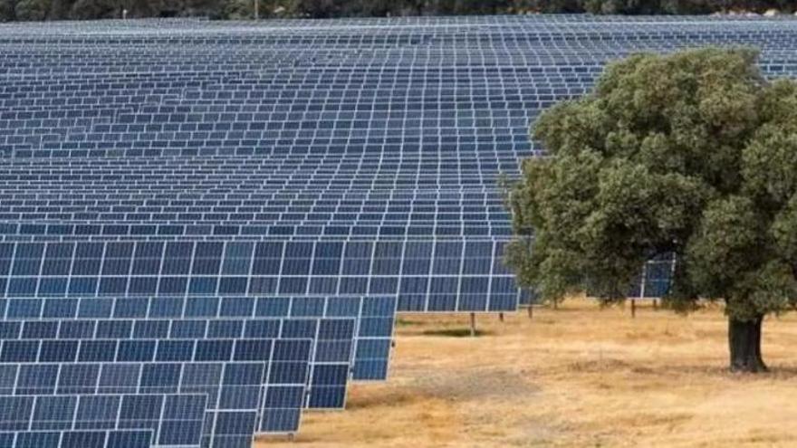 Estos son los 42 municipios extremeños con ayudas del Gobierno para proyectos fotovoltaicos