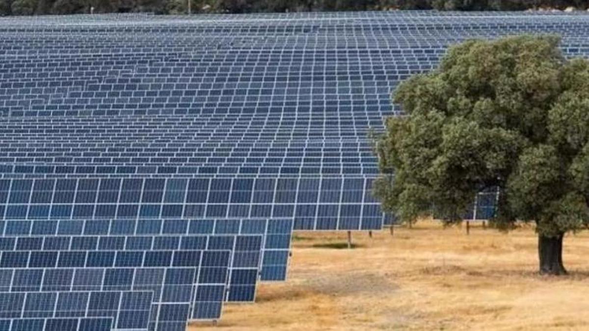 Una planta fotovoltaica.