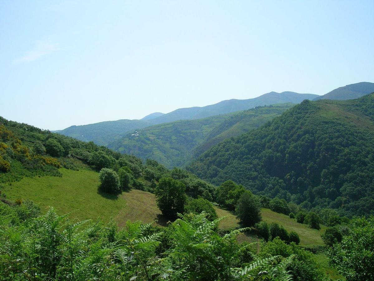 Vistas de los verdes bosques de la Sierra de O Courel