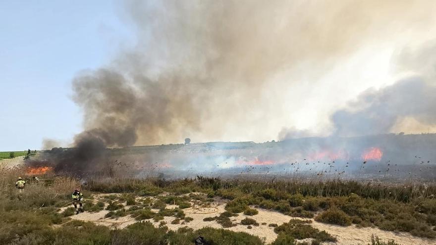Un incendio quema 8.000 metros cuadrados de monte en Villanueva del Río Segura