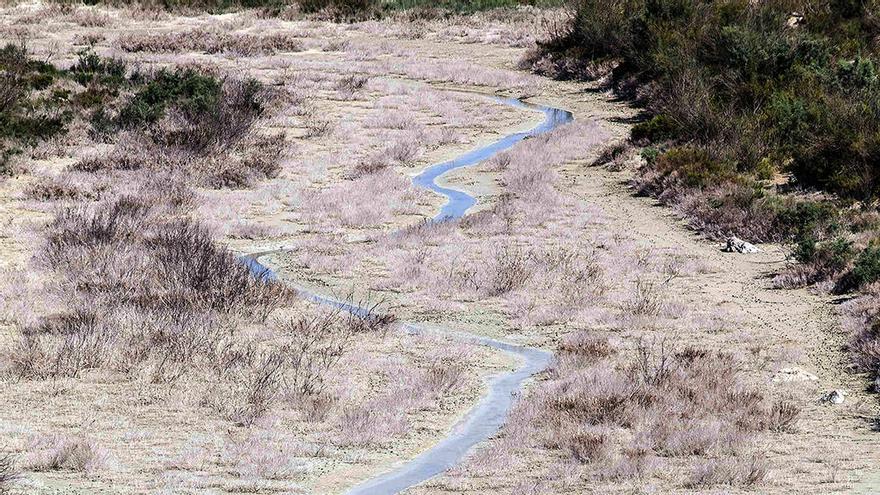 Los pantanos de la cuenca del Segura pierden esta semana otros 9 hm3