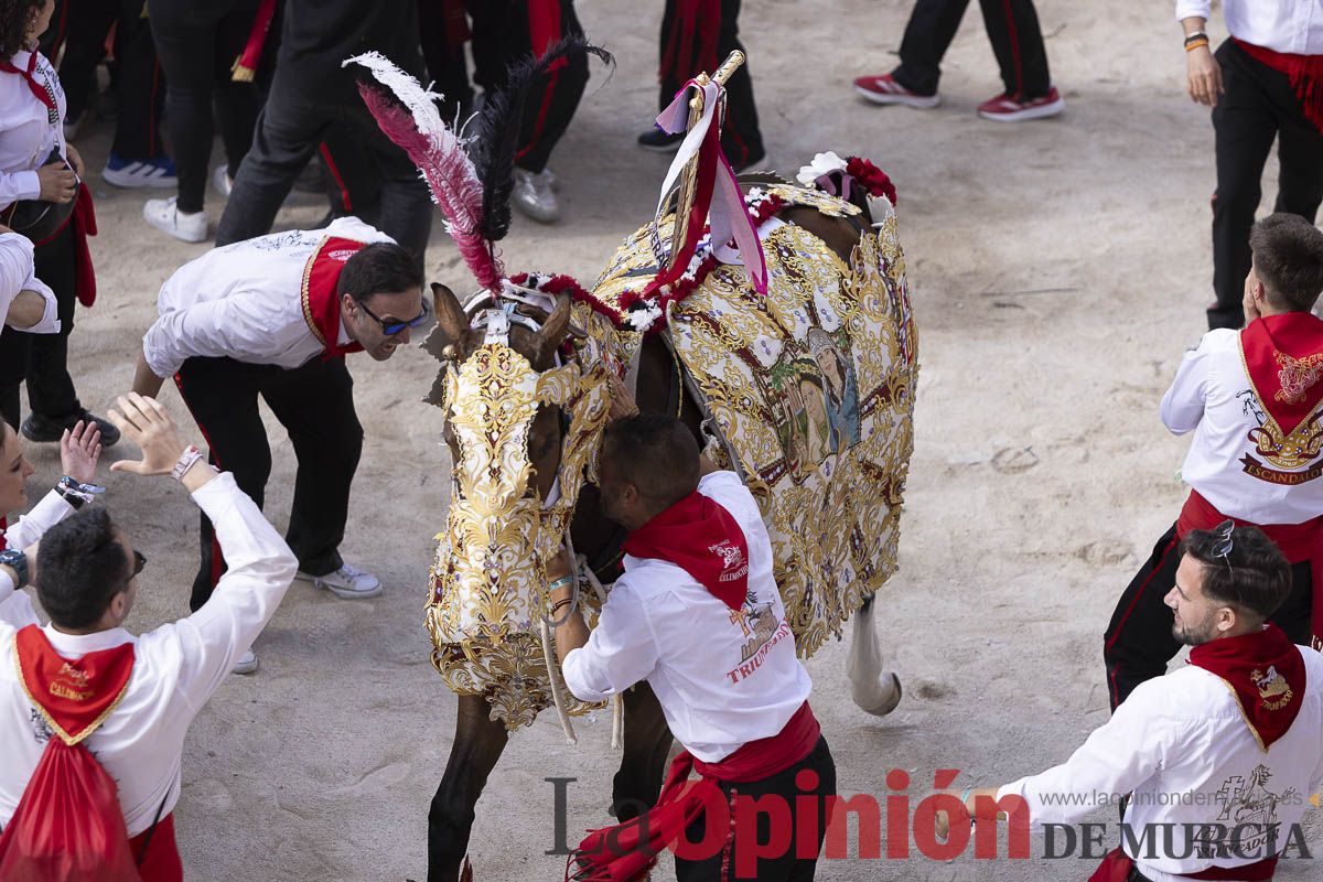 Así se ha vivido la carrera de Los Caballos del Vino en Caravaca