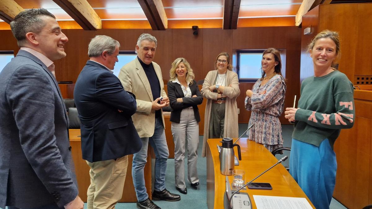 La directora gerente del IACS, Elena Gonzalvo, con distintos diputados momentos antes de comenzar la Comisión de Sanidad.