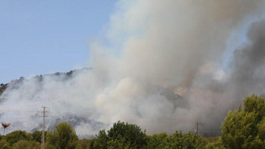 El incendio de Paguera está estable