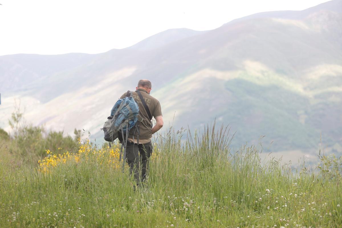 Un agente del medio natural en Cangas del Narcea.