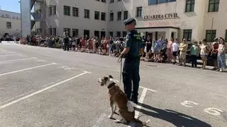 Una galería de tiro virtual y perros antidroga en acción: la Guardia Civil de Cádiz celebra una nueva jornada benéfica de puertas abiertas