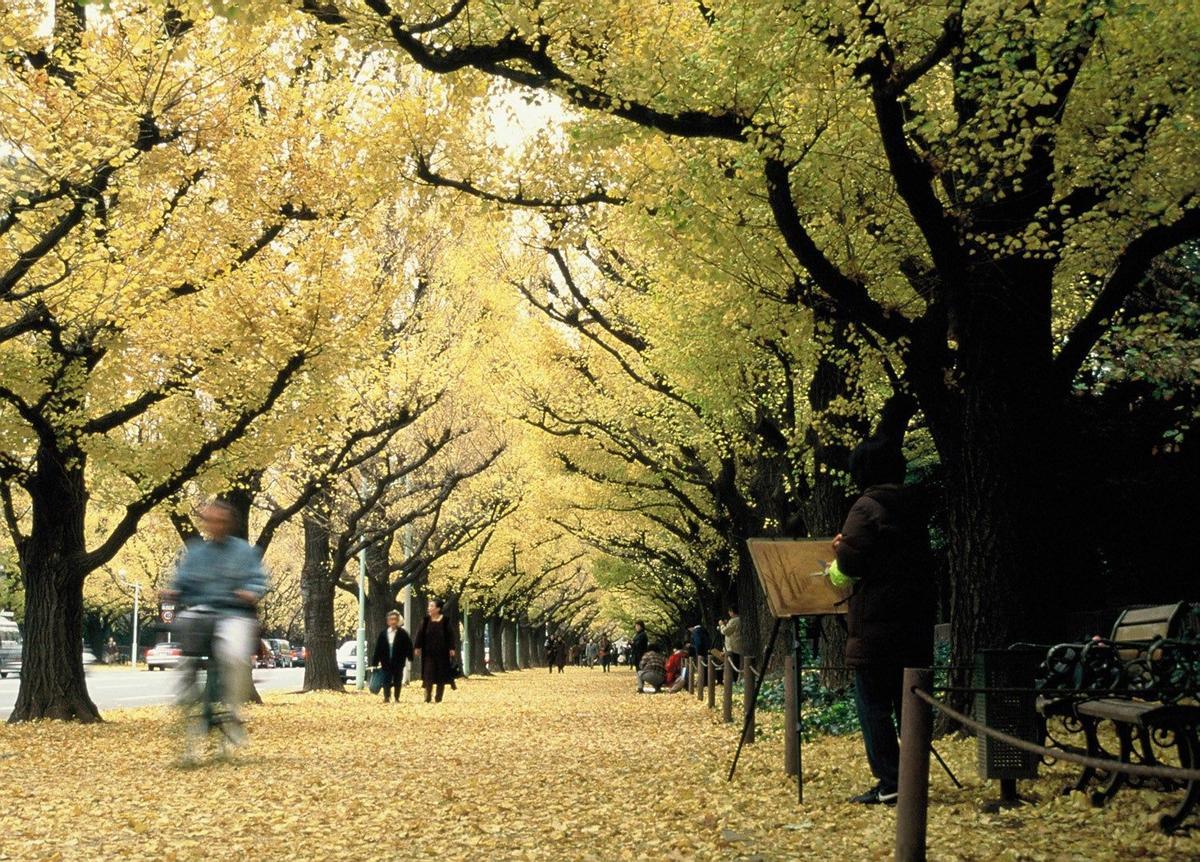 Tokio en Otoño