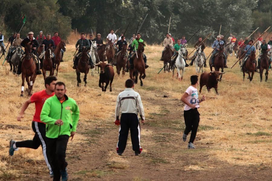 Encierro en San Miguel de la Ribera