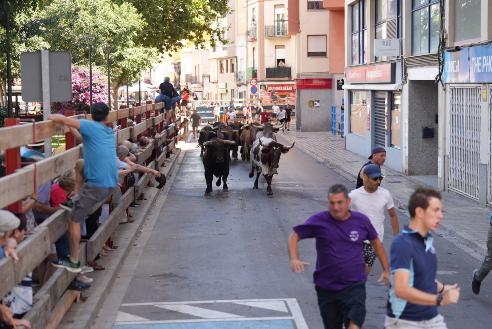 Primer encierro de las fiestas de Sant Pere del Grau