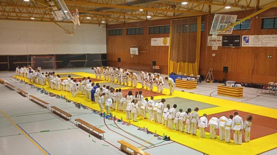 La 7a Trobada de Judo i de Motricitat del Moianès aplega 180 judokes d’entre 3 i 9 anys