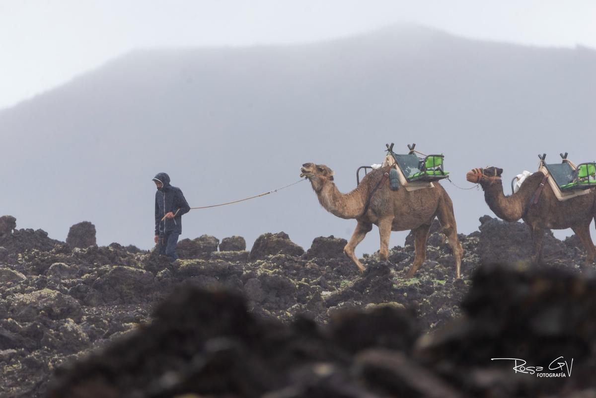 Lluvias en el municipio de Yaiza, en Lanzarote (13/01/25) Lluvias en el municipio de Yaiza, en Lanzarote (13/01/25)