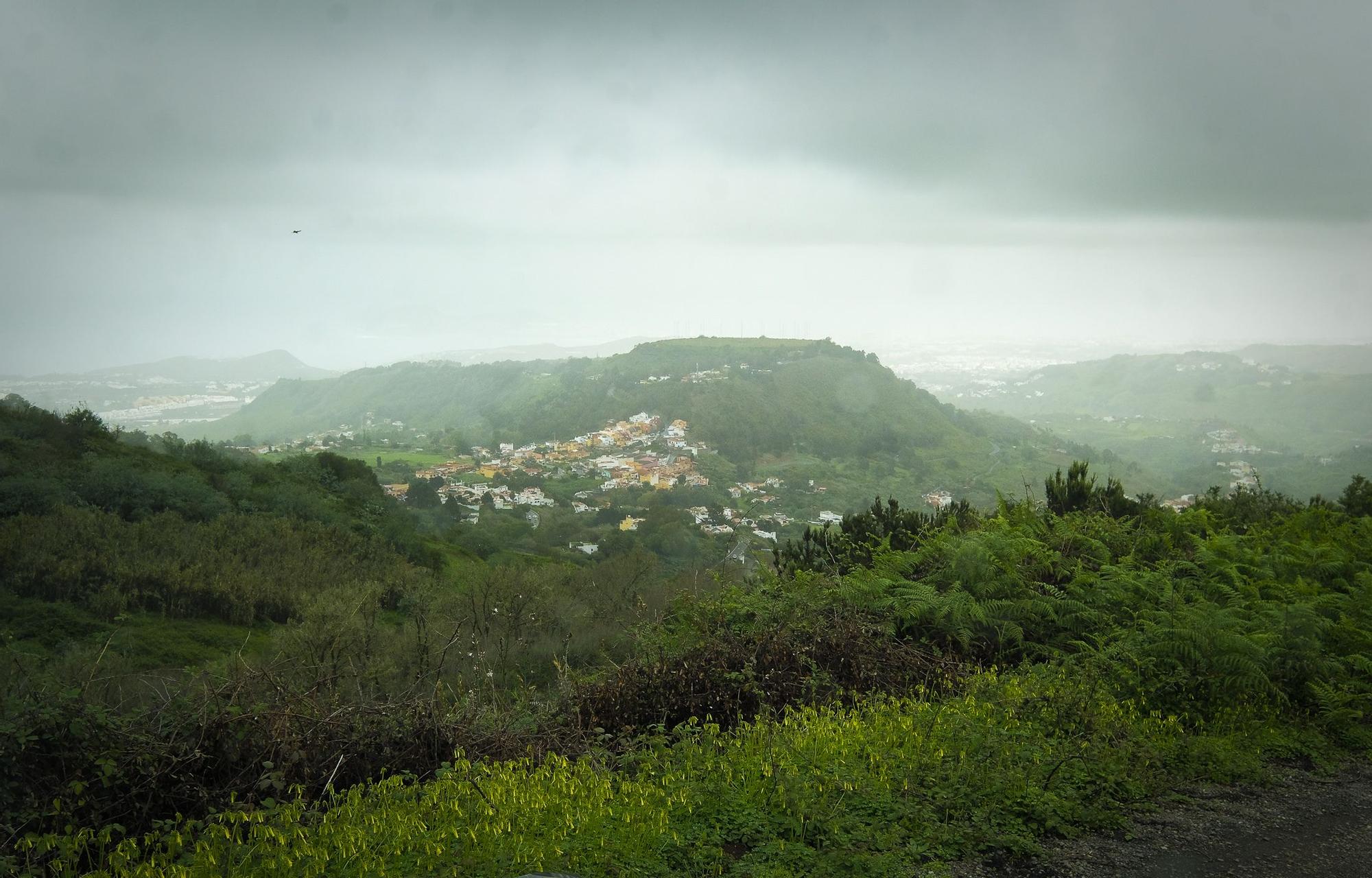 Las medianías de Gran Canaria tras las lluvias de enero