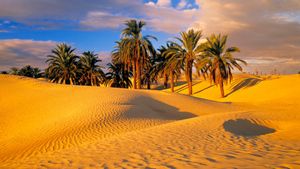 El reverdecimiento del Sáhara altera el clima del hemisferio Norte