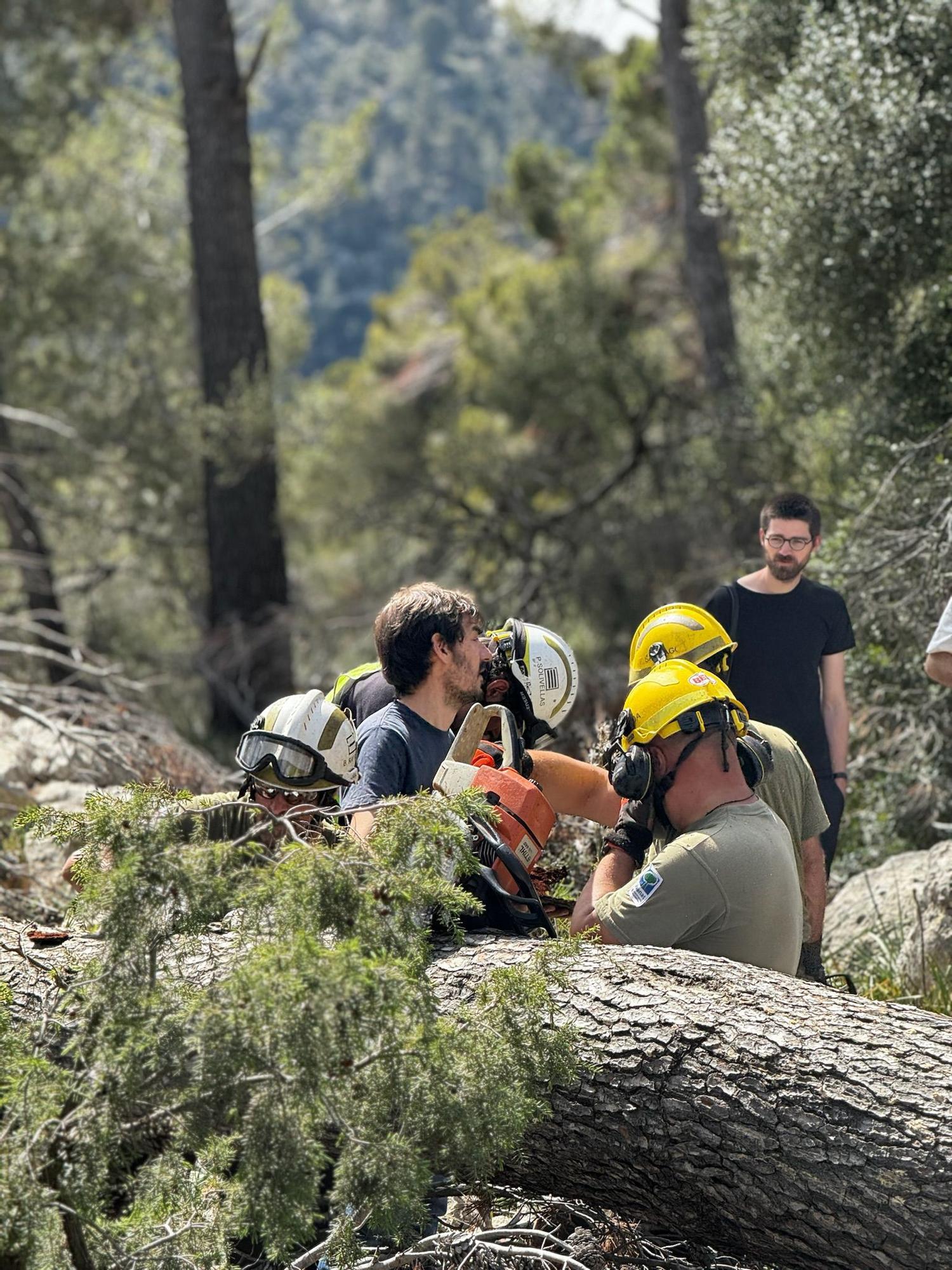 Fotos | El viaje de los futuros arquitectos de la ETH de Zúrich en Mallorca, en imágenes