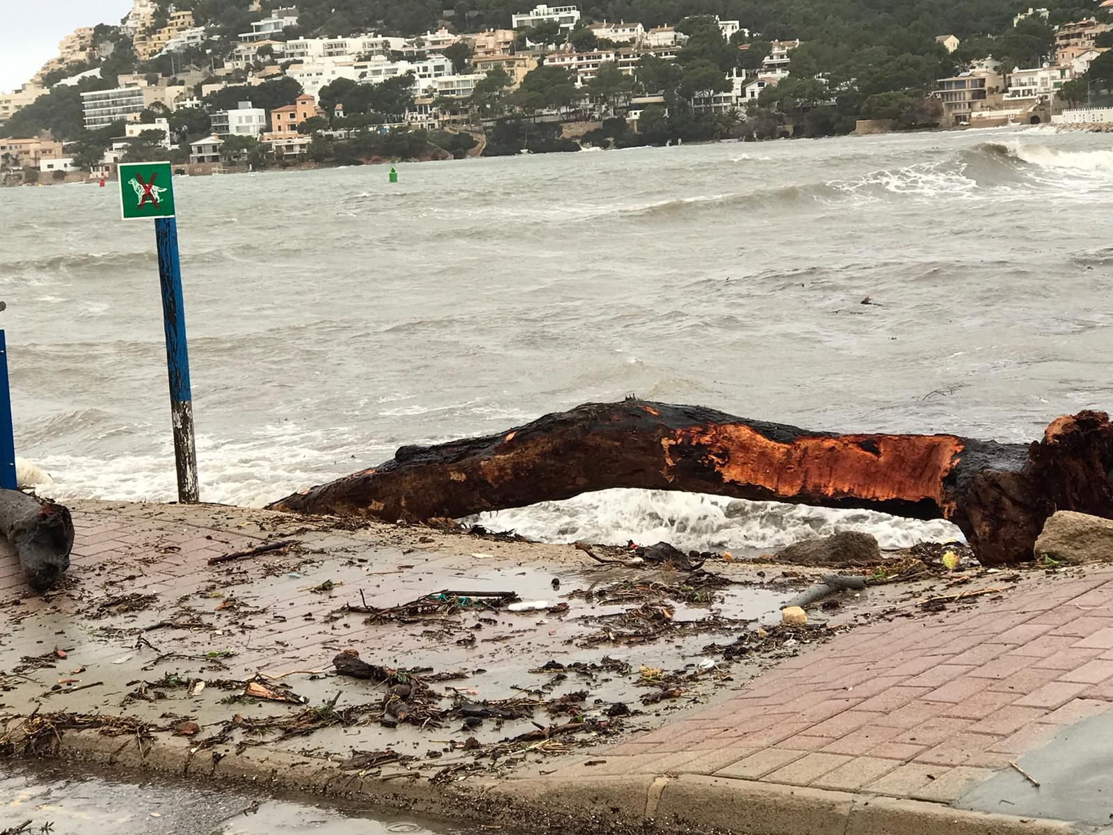 Bella provoca grandes destrozos en el Port d'Andratx