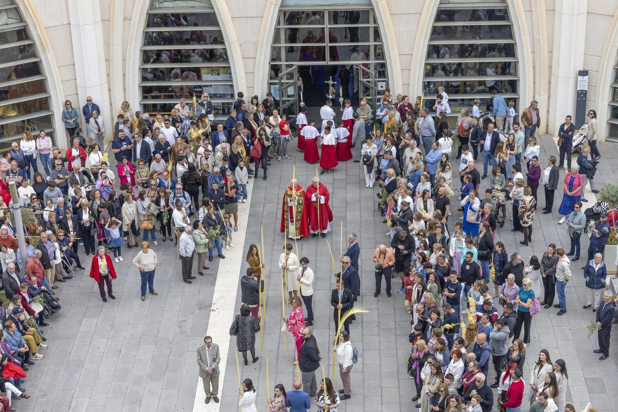 Aquí están las imágenes de la Procesión de Las Palmas de Domingo de Ramos en Torrevieja