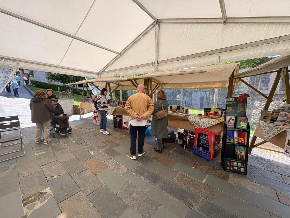 Stand de libros en el parque de La Reguerala en Cangas del Narcea.