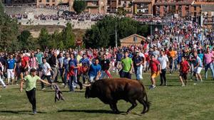 Encierro del Toro de la Vega, este martes.