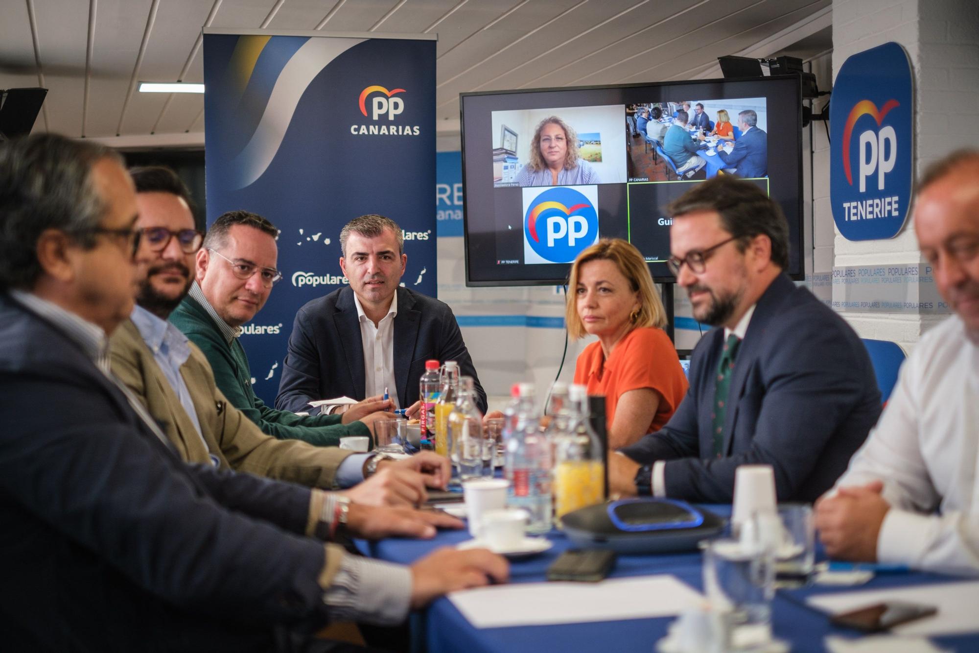 Manuel Domínguez se reúne con los diputados y senadores del PP de Canarias