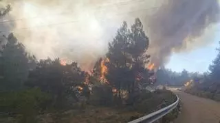 El viento de poniente complicará la extinción con Bejis aún en el recuerdo