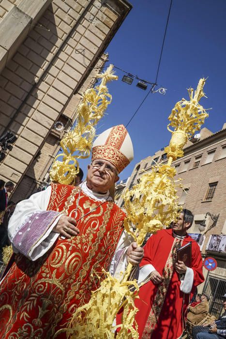 Domingo de Ramos en Orihuela