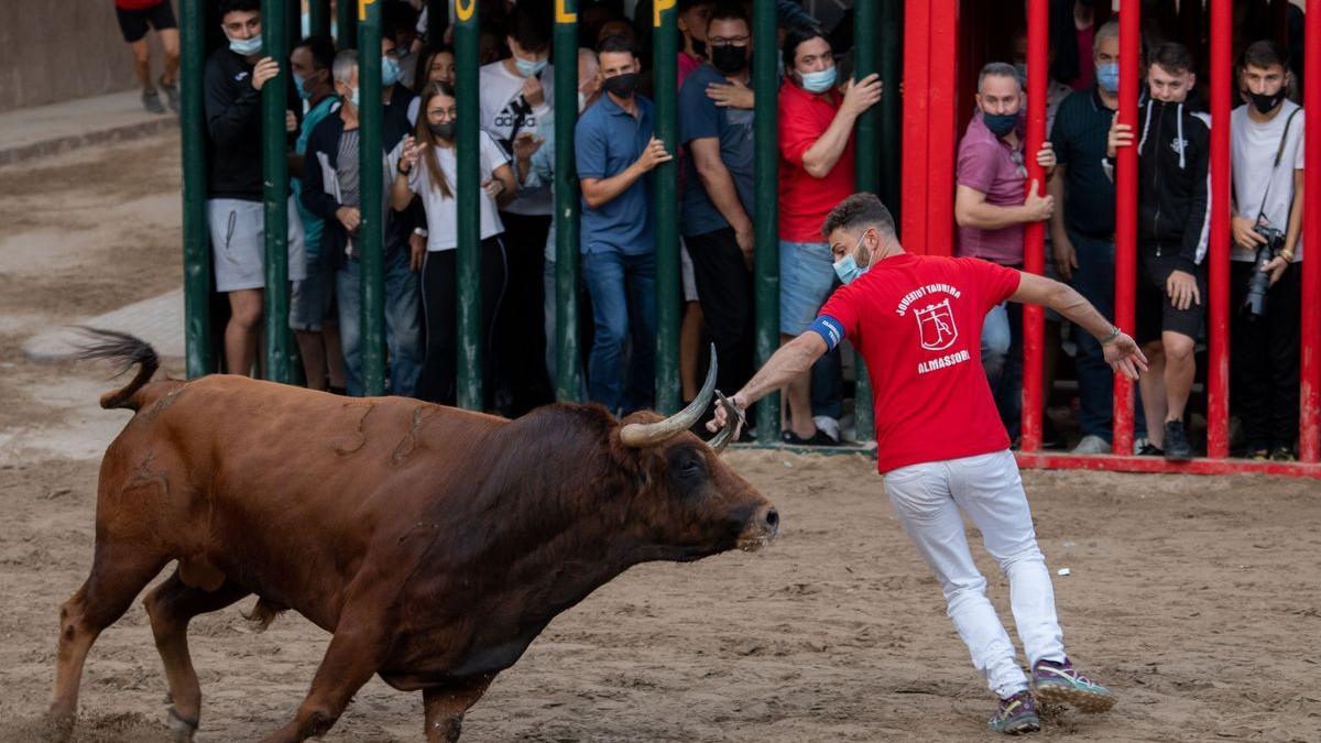 'Madrileño', de la ganadería Montes de Oca, dejó hasta ahora los mejores momentos de las exhibiciones vespertinas en Almassora.