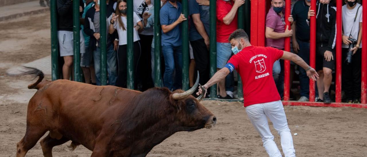 El tercer día de toros y el encierro infantil hacen vibrar a Almassora