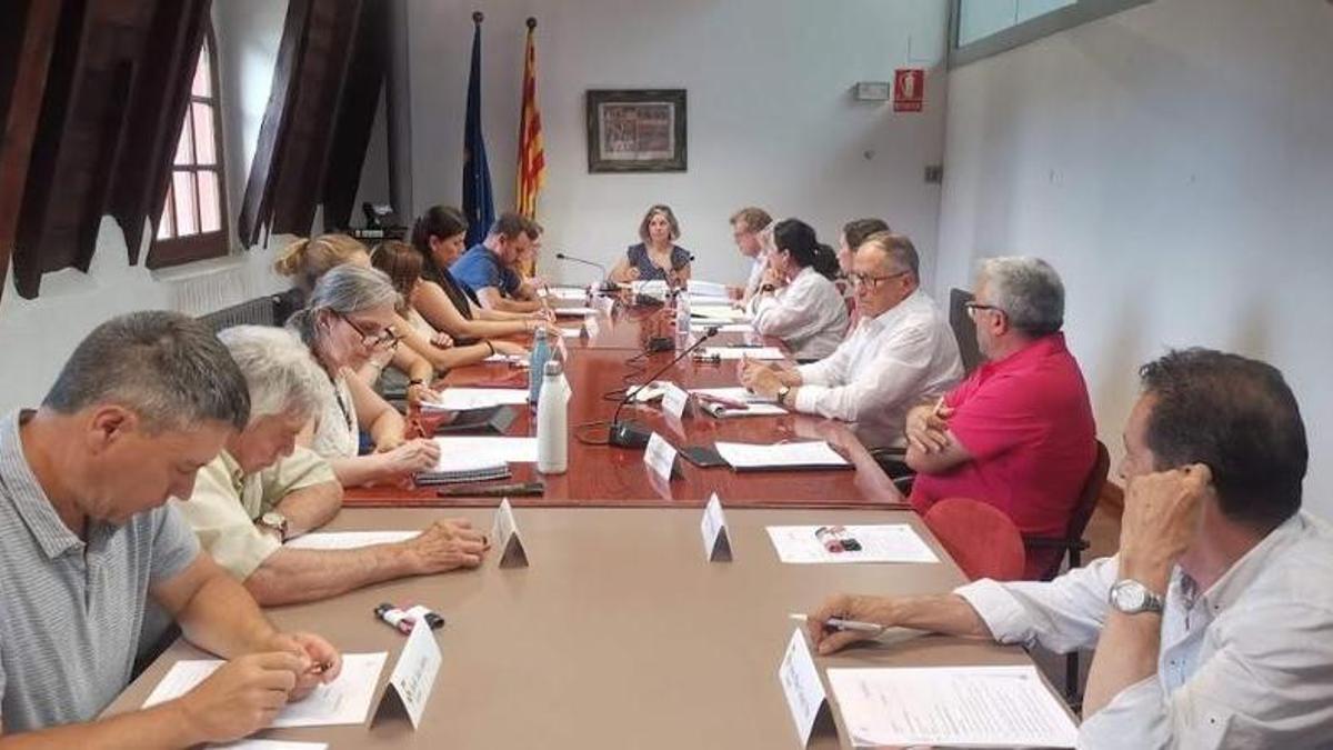 El ple del Consell Comarcal de l'Alt Urgell