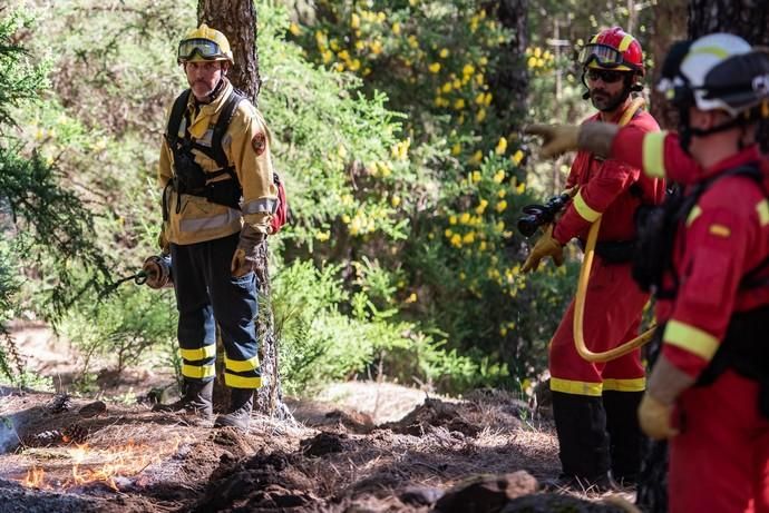 La UME realiza prácticas de prevención de incendios en Gran Canaria