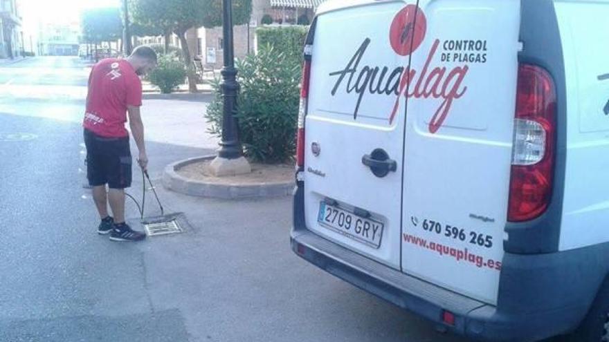 Un operario fumiga en un calle de Benirredrà.