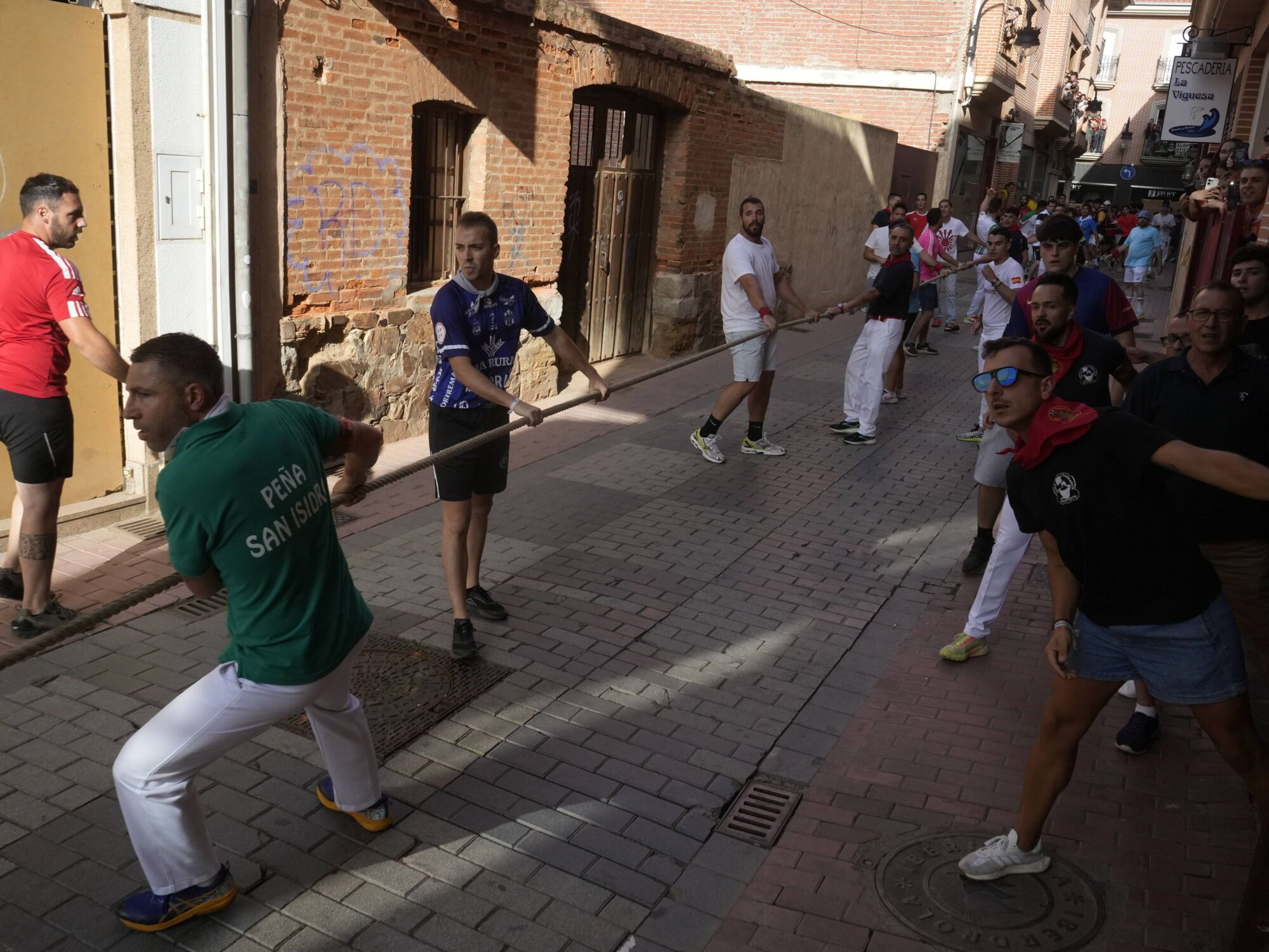 Las imágenes más impactantes del torito del alba de Benavente