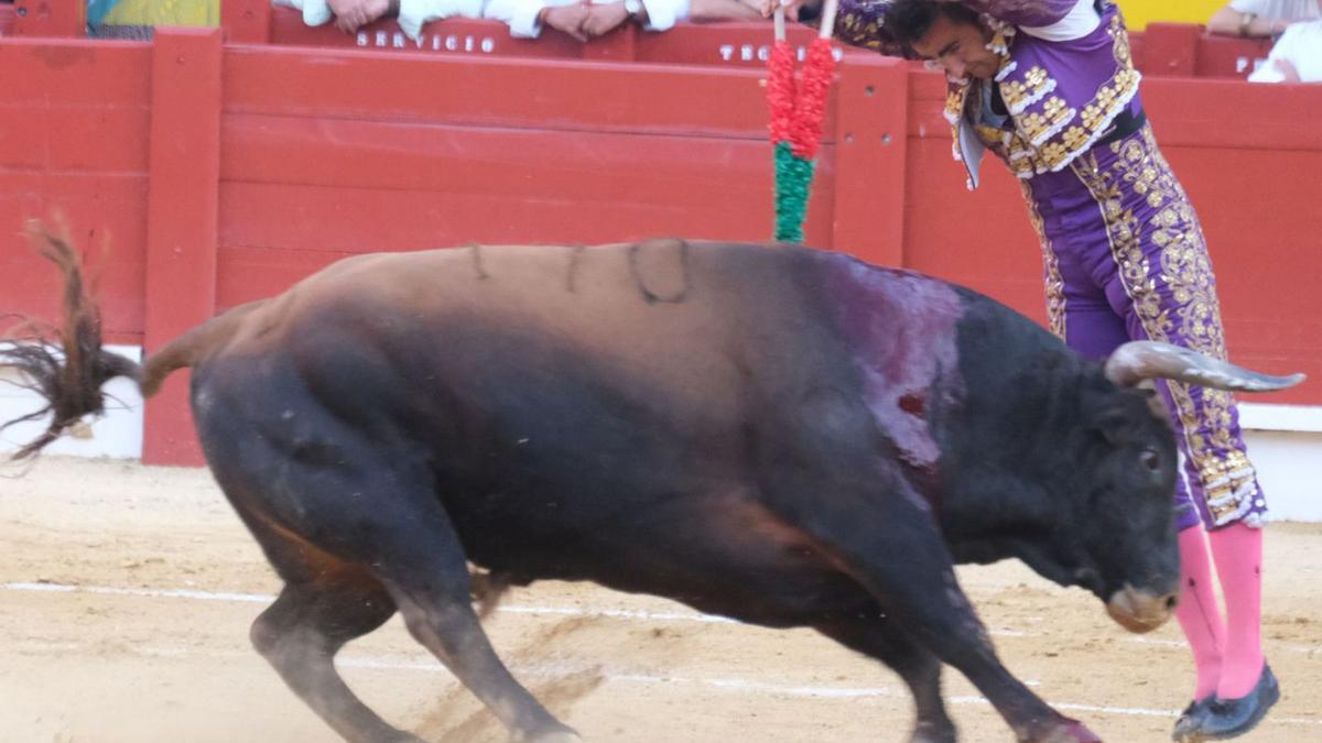 El Fandi volvió a ser un espectáculo asegurado en banderillas.  | ÁXEL ÁLVAREZ