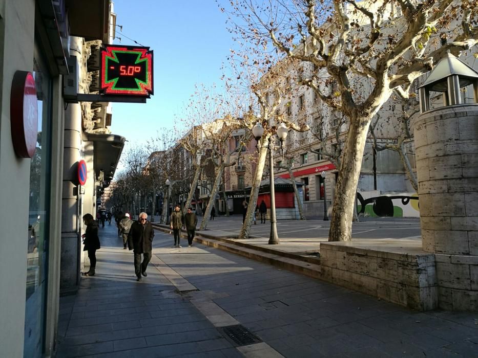 Els efectes de la gelada a Manresa