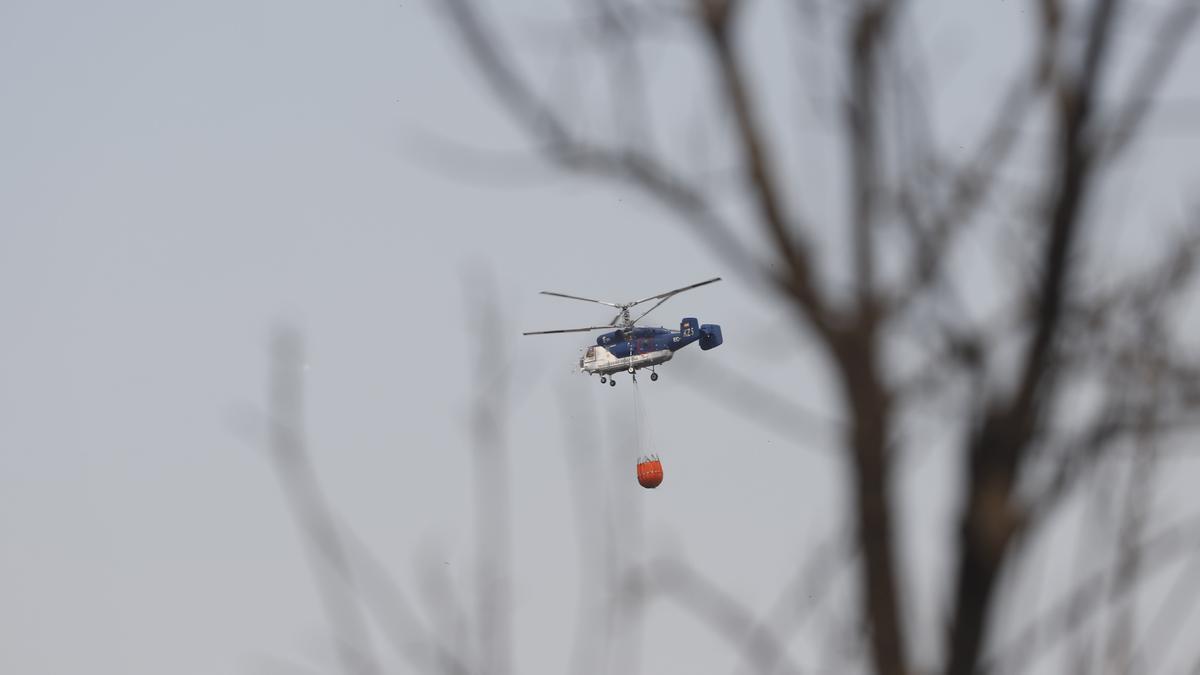 Un incendio en Sierra Bermeja provoca el desalojo de un millar personas en Estepona, Jubrique y Genalguacil