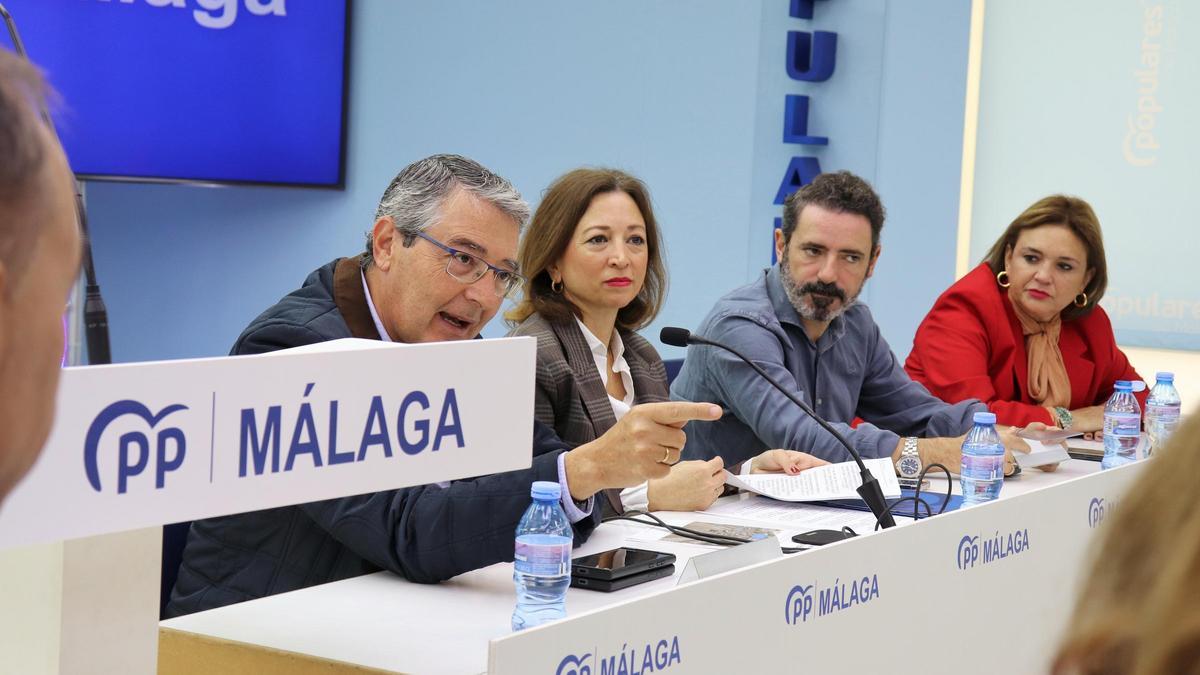Patricia Navarro, quien exigió al Ministerio de Transportes que “deje de tomar el pelo a los malagueños”