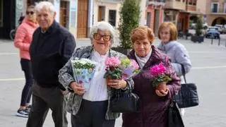 Onda conciencia sobre el cuidado del entorno natural en su Día del Árbol