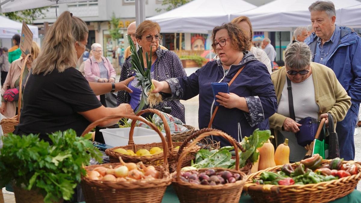 Mercado de produtos da horta e artesanía