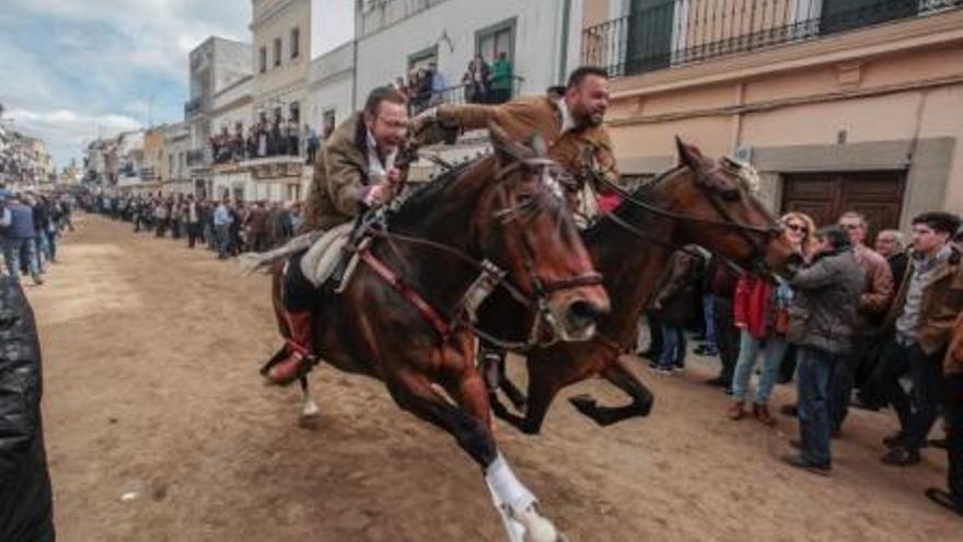 Las carreras de caballos inundan la Corredera en Arroyo de la Luz
