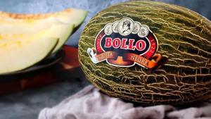 Un melón Bollo.