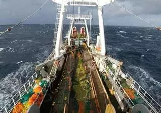 La flota gallega tendrá más cupo de bacalao en NAFO tras el fin a 32 años de moratoria