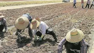 El paro baja tras el verano y deja 68.877 desempleados en Córdoba
